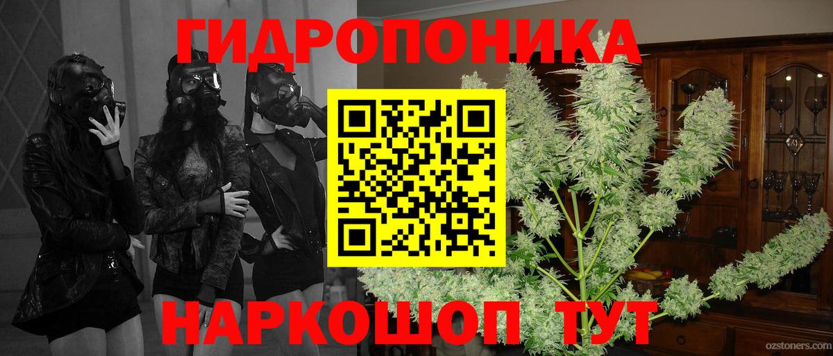Марихуана семена  Вход с VPN  Отрадный  Бошки Шишки семена  Конопля сатива 